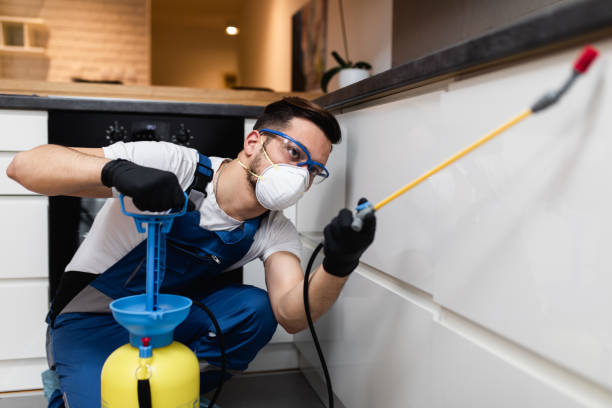 Best Bed Bug Extermination  in New Britain, CT