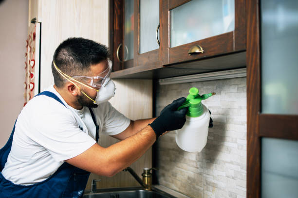 Best Wildlife Control Services  in New Britain, CT