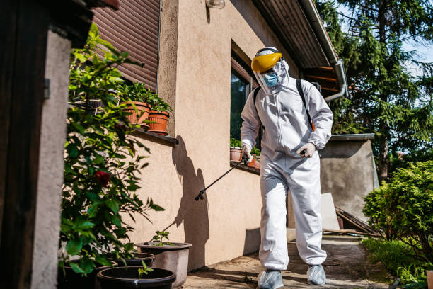 Reliable New Britain, CT Pest Control Solutions