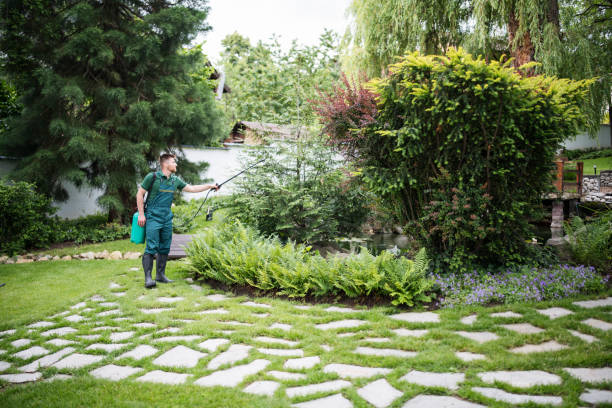 Best Exterminator Services  in New Britain, CT