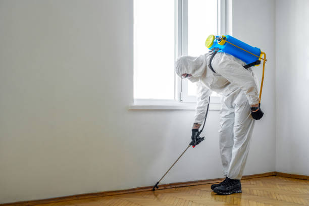 Best Mosquito Control Services  in New Britain, CT