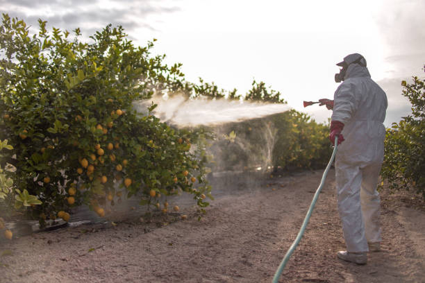 Best Mosquito Control Services  in New Britain, CT