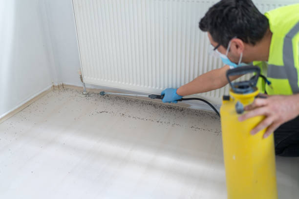 Trusted New Britain, CT Pest Control Experts